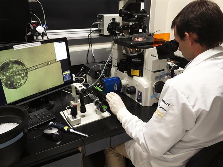 انطلاق المؤتمر الرابع لأبحاث الخلايا الجذعية والعلاج الخلوي المناعي الاسبوع القادم 