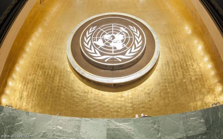 السعودية توكد أهمية التعاون الدولي لتنفيذ الرؤية الأممية للتنمية المستدامة 2030