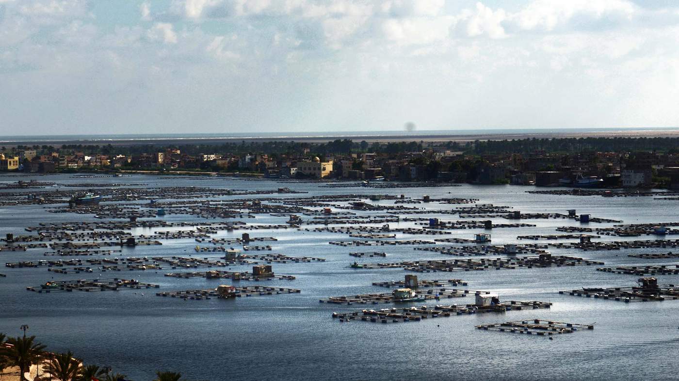 المجلس العربي للمياه يعلن عن جائزة دولية متخصصة