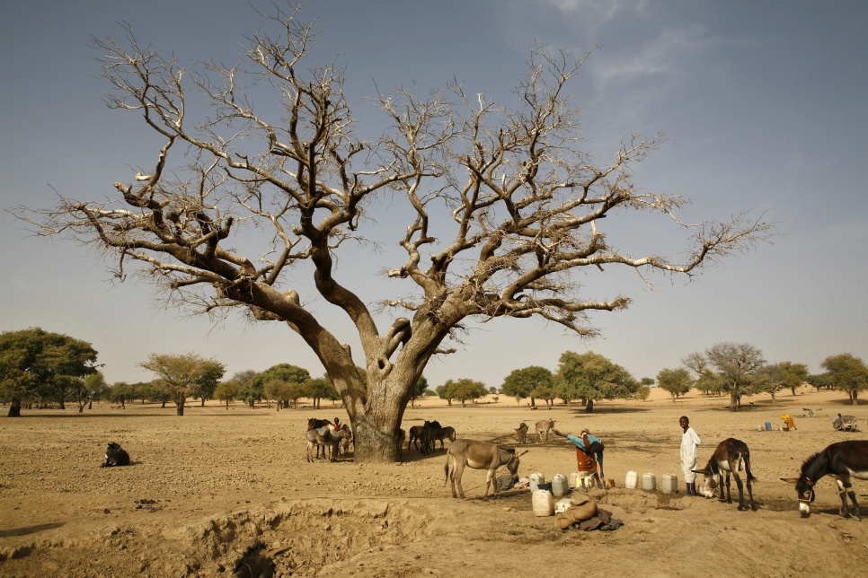 مسئول ببرنامج الغذاء العالمي يحذر من أن التغير المناخي يقود إلى الصراعات والجوع في أفريقيا