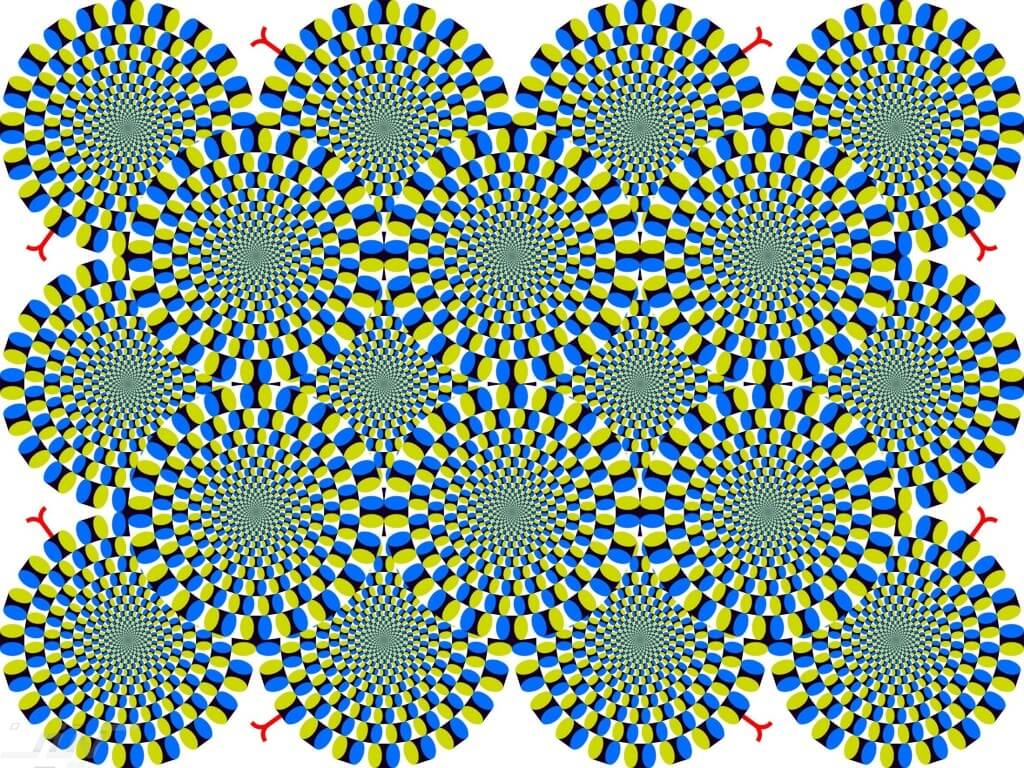 العلماء يسعون لاكتشاف جزء الخداع البصري في الدماغ