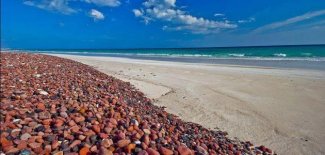 زلزال بقوة 6.2 يضرب قبالة السواحل اليمنية	