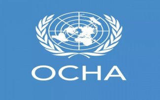 "الأوتشا" ترحب بإعلان المملكة والإمارات دفع رواتب 135 ألف معلم يمني