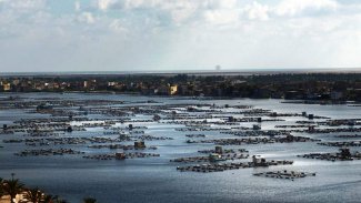 المجلس العربي للمياه يعلن عن جائزة دولية متخصصة