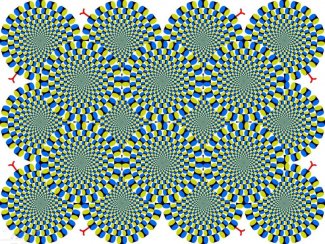 العلماء يسعون لاكتشاف جزء الخداع البصري في الدماغ