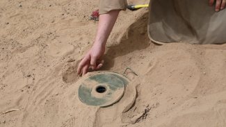  الأمين العام للأمم المتحدة يدعو إلى تسريع الجهود لجعل الألغام المضادة للأفراد من مخلفات الماضي