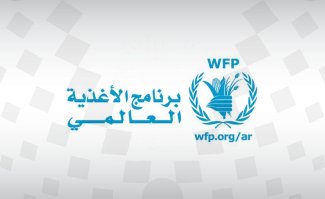 برنامج الغذاء العالمي يدين قصف الحوثيين مخازن القمح قرب الحديدة باليمن