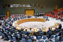 مجلس الامن