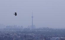 نيودلهي «تختنق» بحرق الحقول وتفاقم أزمة الضباب الدخاني