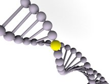 علماء صينيون يصفون تعديل جينات البشر بأنه "جنون"