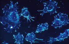 تطوير فيروس يهاجم الخلايا السرطانية ويدمرها