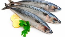 Salvelinus أكثر أنواع السمك المفيدة لصحة