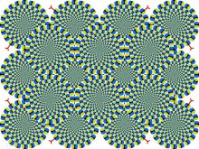 العلماء يسعون لاكتشاف جزء الخداع البصري في الدماغ