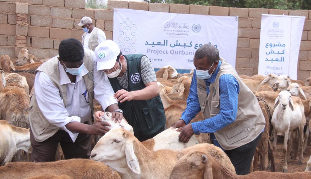 La Ligue Islamique Mondiale apporte une aide aux nécessiteux dans plus de 22 pays dans le monde avec le programme « mouton de l’Aïd »