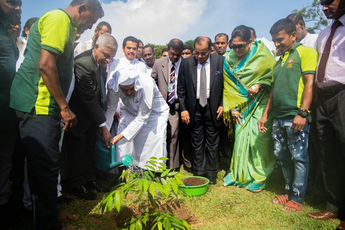 Nous devons tous être des gardiens de l’environnement et promouvoir la durabilité pour construire un monde meilleur. L'été 2019, Mohammad Alissa a participé à une plantation d'arbres au SriLanka.