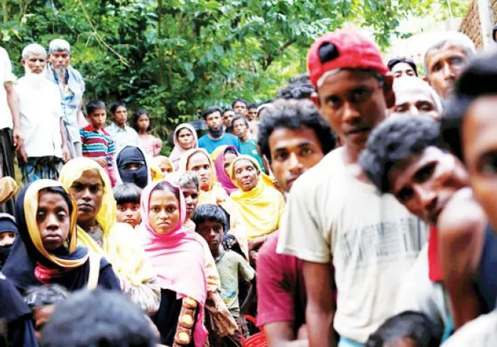 MWL runs programs to address the physical and psychological violence suffered by Rohingya refugees, including the provision of specialized care for orphans & widows