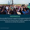 The MWL has provided financial support for the government of Indonesia for the purchase of health supplies