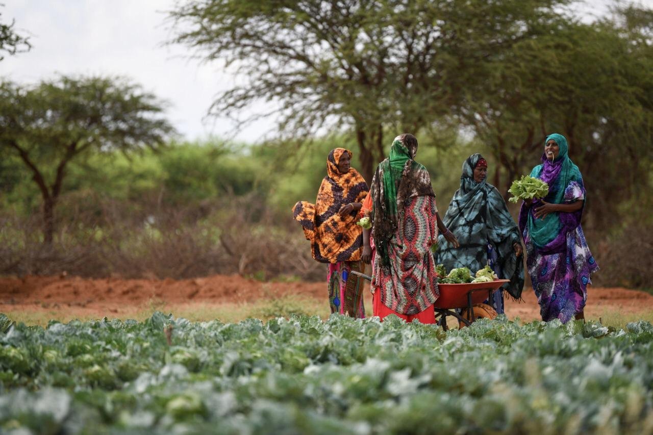 د. العيسى: عملنا في العمق الافريقي يجمع بين الإغاثي والتنموي
