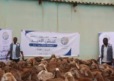 The Muslim World League expanded distribution of halal meat to communities in need in Sudan for Eid AlAdha