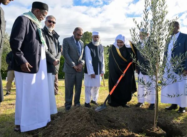 Le Secrétaire général, cheikh Mohammed Al-Issa a inspecté la première phase de la construction du Centre islamique d’Auckland. À cette occasion, il a participé à la plantation de « L’olivier de la paix »